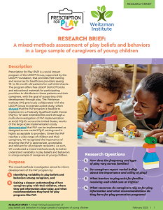 Cover of the Cultural Assessment research brief